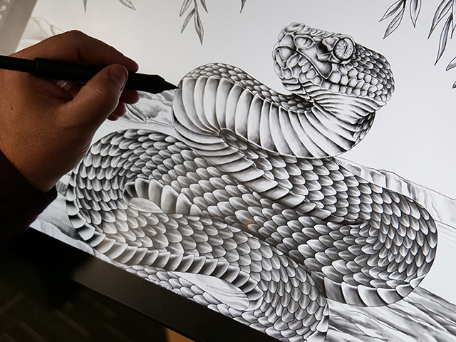 Discover the tradition and story   Snake