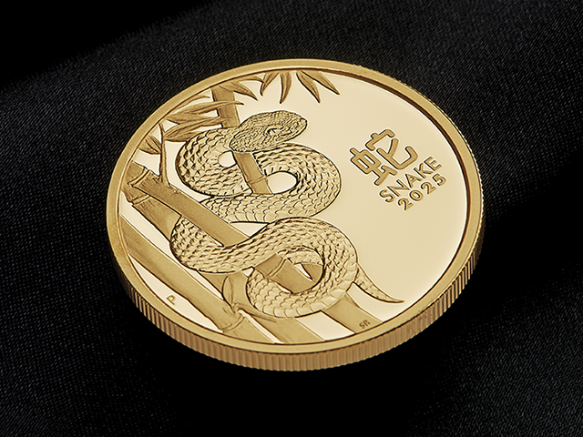 Year of the Snake gold coin