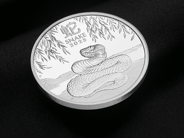 Year of the Snake silver coin