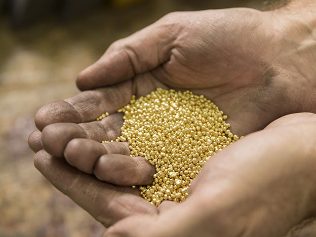 Gold granules in hands at The Perth Mint.