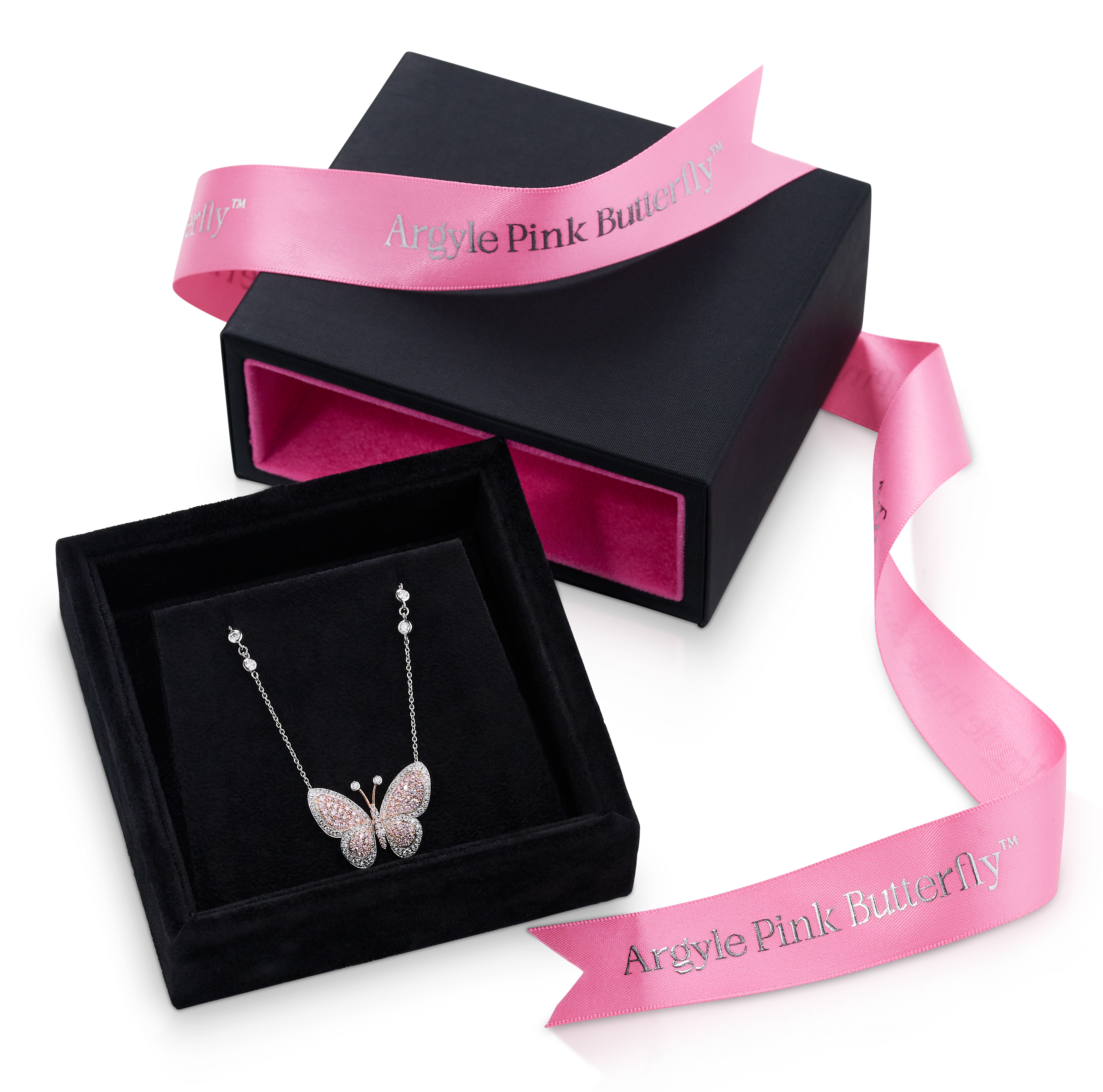 TRANSPARENT BUTTERFLY IN PACKAGING