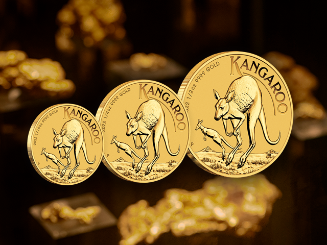 Fractional Gold Coins 640x480