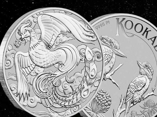 Platinum coins 640x480